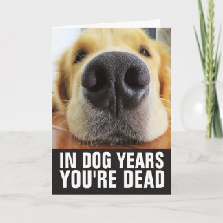 HUND FÖDELSEDAG, I HUNDÅR ÄR DU DÖD GRATTIS KORT