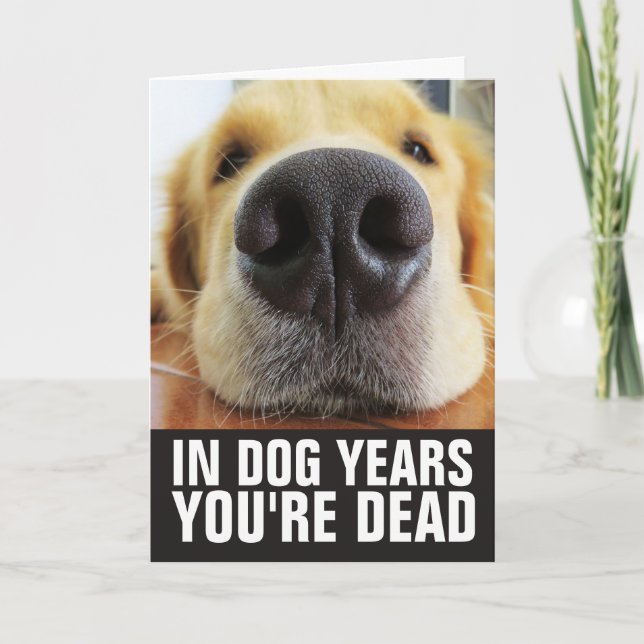 HUND FÖDELSEDAG, I HUNDÅR ÄR DU DÖD GRATTIS KORT (Framsida)