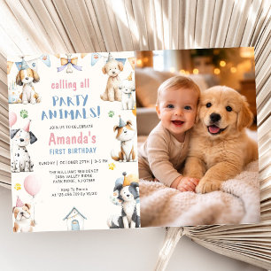 Hund Födelsedagsfest Valp Pawty Födelsedagsfoto Inbjudningar