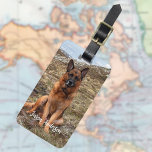 hund för anpassningsbar bagagebricka<br><div class="desc">Lägg till ett av dina favoritfoton. Anpassa och lägg till namn och kontaktinformation. Bakåt: svart bakgrund,  vit text.</div>