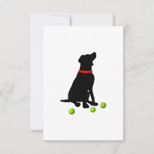hund för arbetshämtning med gul lab tennis boll OSA kort