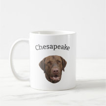 Hund för återställande av Chesapeake Bay