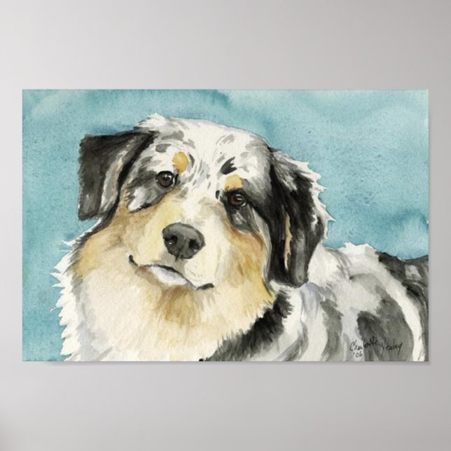 hund för "Australian shepherd"-utskrift Poster (Framsidan)