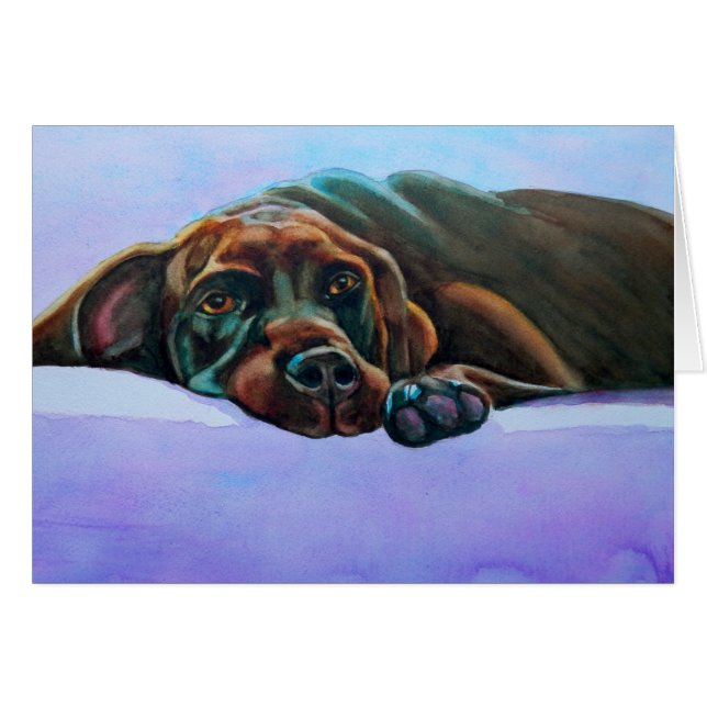 Hund för avslappnad choklad hälsningskort (Framsidan Horizontal)