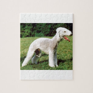 Hund för Bedlington Terrier Pussel