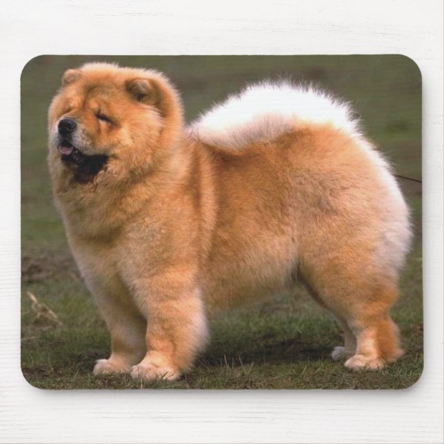 Hund för ChowChow Musmatta (Framsidan)