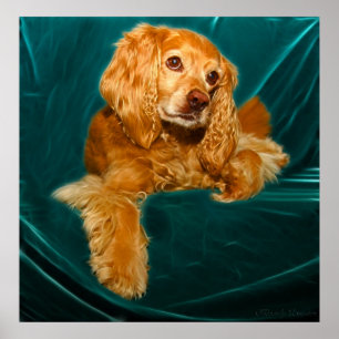 Hund för cockerspanielSpanielvalp Poster