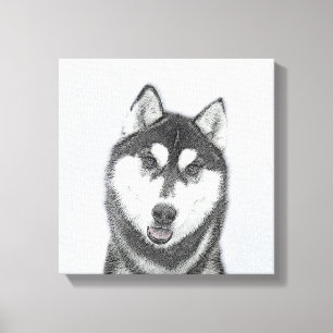 hund för färgning av siberian husky (svart och v canvastryck
