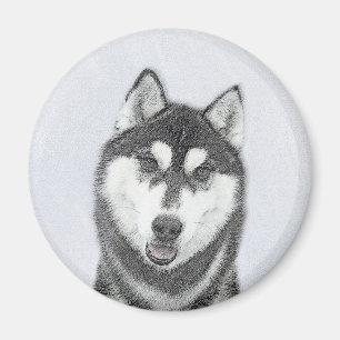 hund för färgning av siberian husky (svart och v magnet