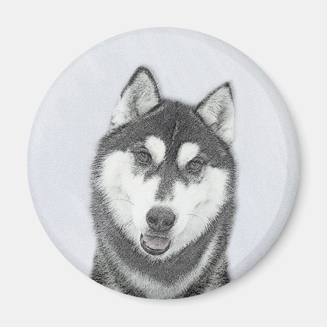 hund för färgning av siberian husky (svart och vit magnet (Framsidan)
