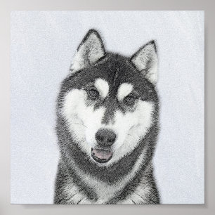 Hund för färgning av siberian husky (svart och vit poster