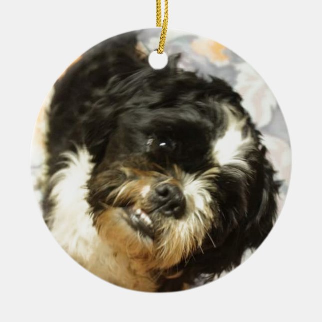 Hund för FB_IMG_1481505521015 Shitzu Julgransprydnad Keramik (Framsidan)