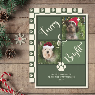 Hund för fotokollage av hårig och Bright Grönt Julkort