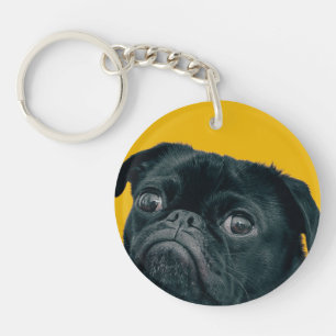 hund för gult