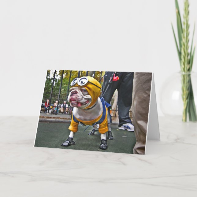 Hund för gult kort (Framsida)