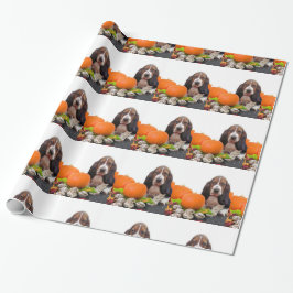 Hund för Halloween Bassethund som slår in papper Presentpapper