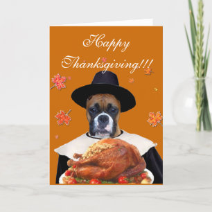 hund för hälsning av Thanksgiving-boxare Helgkort