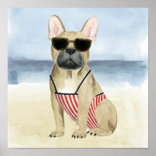 Hund för hett Doft i solglasögon vid stranden Poster