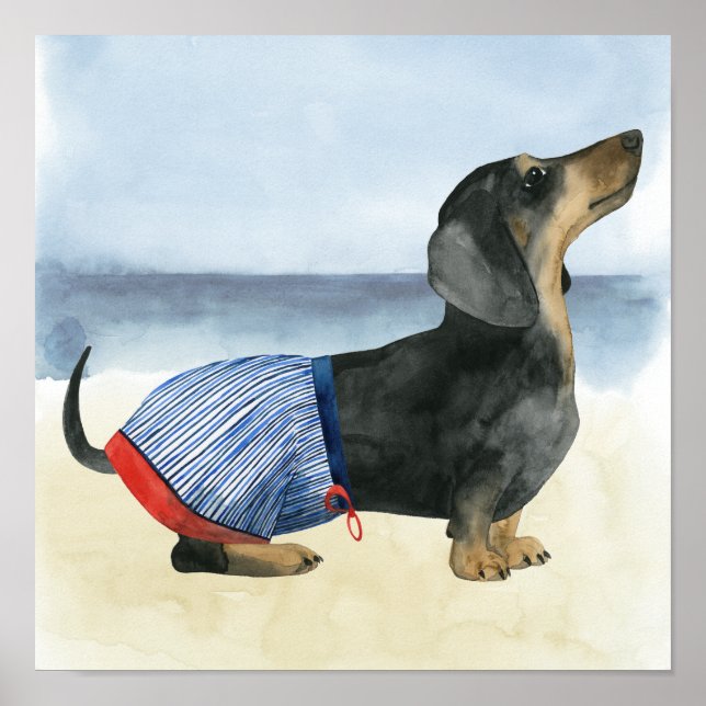 Hund för hett | marionettdockor poster (Framsidan)