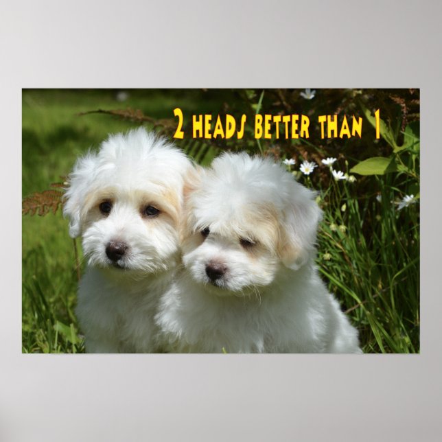 Hund för humoriserade foton poster (Framsidan)