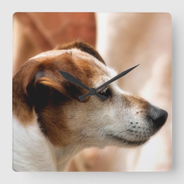 HUND FÖR JACKRUSSELL TERRIER FYRKANTIG KLOCKA (Framsida)