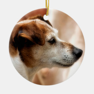 HUND FÖR JACKRUSSELL TERRIER JULGRANSPRYDNAD KERAMIK