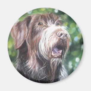 Hund för jakt på tysk trådhårpekare magnet