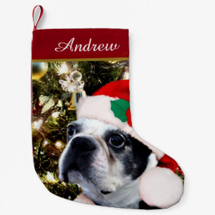 Hund för julBoston Terrier Liten Julstrumpa