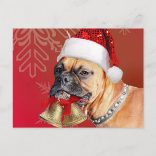 Hund för julboxare helg vykort