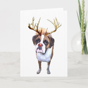 Hund för julboxare helgkort