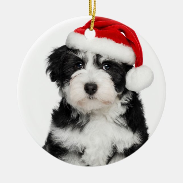 Hund för julHavanese valp Julgransprydnad Keramik (Framsidan)