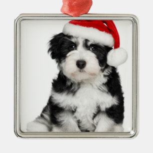 Hund för julHavanese valp Julgransprydnad Metall