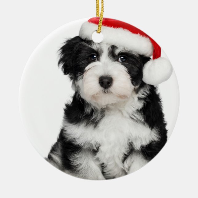 Hund för julHavanese valp Julgransprydnad Metall (Framsidan)