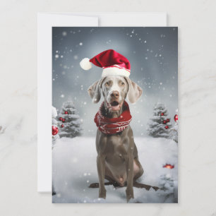 Hund för julWeimaraner Julkort