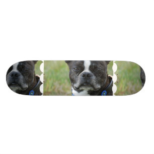 Hund för klassikerBoston Terrier Old School Skateboard Bräda 18 Cm