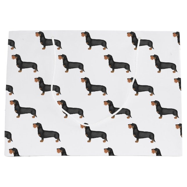 Hund för kute- och trådbunden Dachshund-korv (Framsidan)