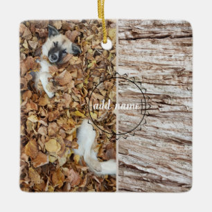 hund för modern fotosamling julgransprydnad keramik