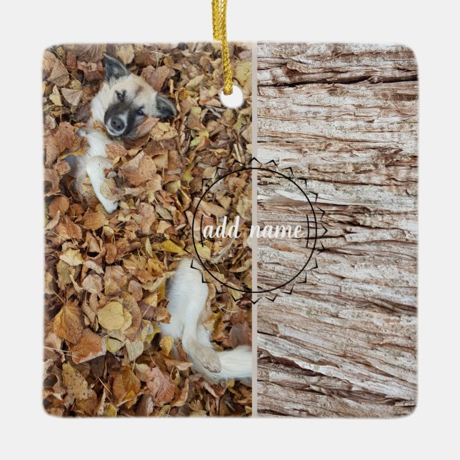 hund för modern fotosamling julgransprydnad keramik (Framsida)