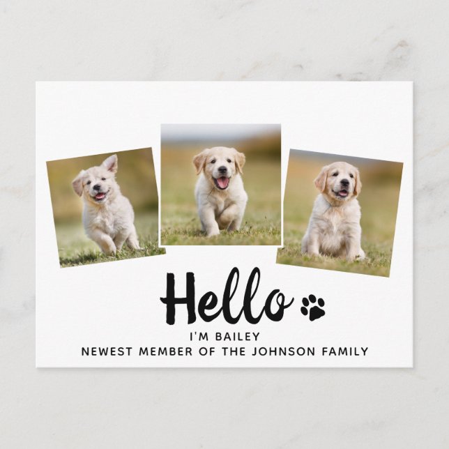 Hund för ny Hej för sällskapsfoto Meddelande Vykort (Framsida)