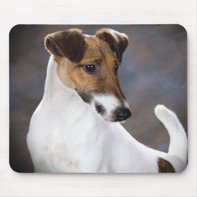Hund för ParsonRussell Terrier Musmatta (Framsidan)
