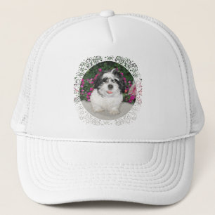 Hund för rädding för svart- & vitShih Tzu valp Truckerkeps