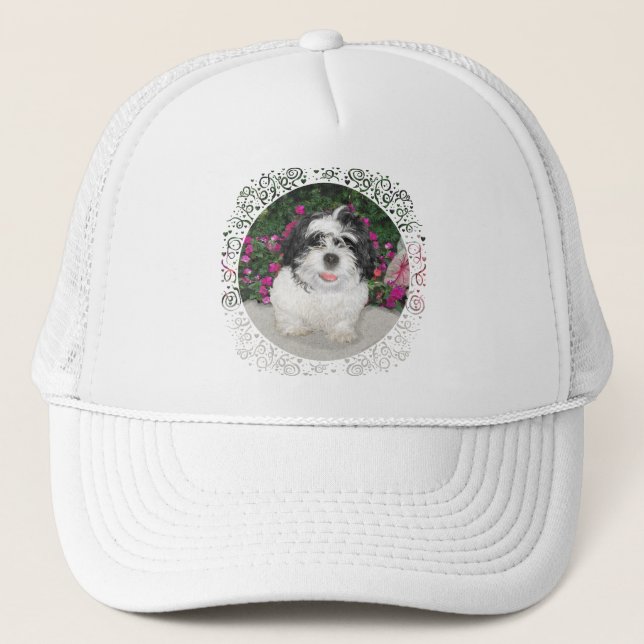 Hund för rädding för svart- & vitShih Tzu valp Truckerkeps (Framsida)