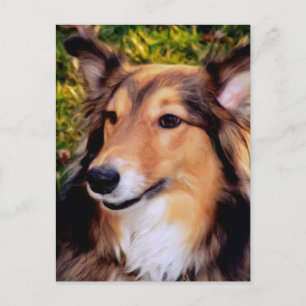 Hund för rädding vykort