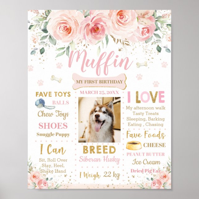 Hund för  Rosa Blommigt Puppy 1:a födelsedagsmilst Poster (Framsidan)