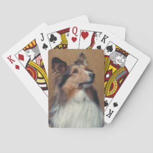 Hund för Shetland Sheepdog som leker kort Spelkort