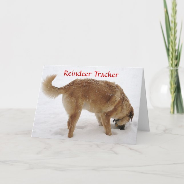 Hund för sökning och Rädding av Cute Santa & Reind Helgkort (Framsida)