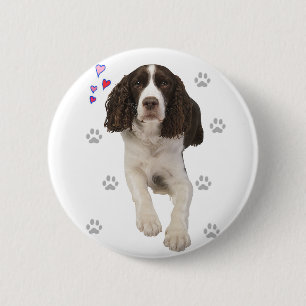 Hund för Spaniel för engelsk Springer Knapp
