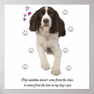 Hund för Spaniel för engelsk Springer Poster