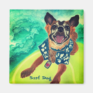 Hund för surfa magnet