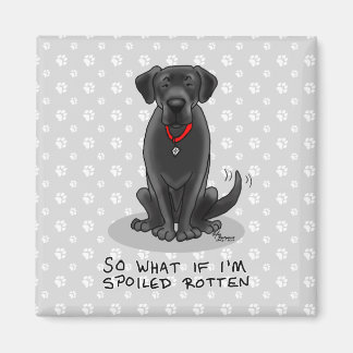 Hund för Svart lab Labrador Retriever Magnet